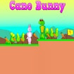 Cano Bunny